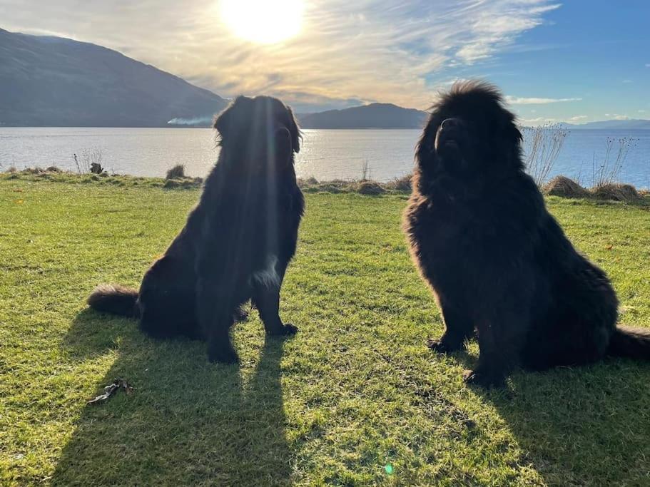 Villa Dalrigh Pod Onich Esterno foto